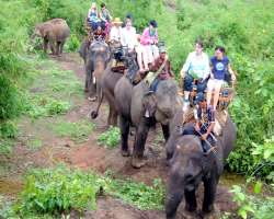 In 1986, the number of visitors visits to the park is approximately more than 180,000 In 1986, the number of visitors visits to the park is approximately more than 180,000.